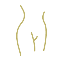 Système uro-génital